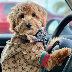 Meet your Posher, Rubi